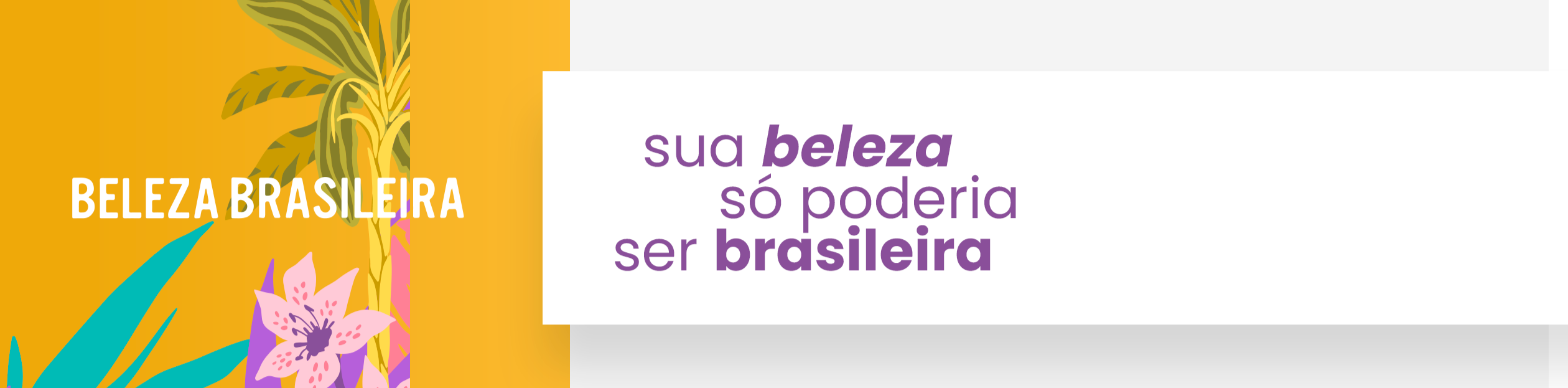 Imagem do banner Imagem do banner