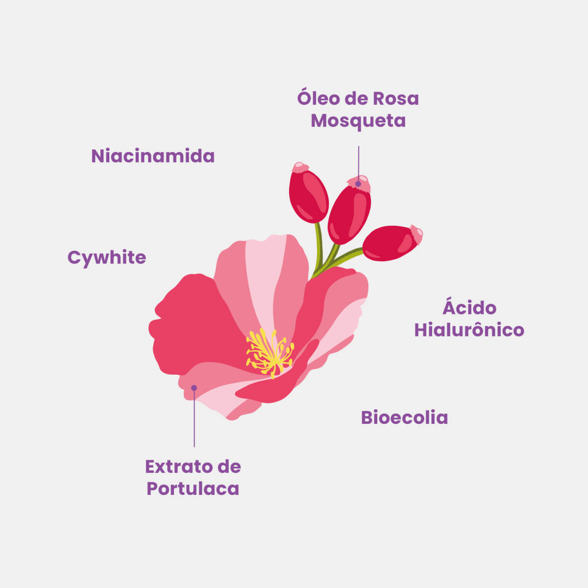 BB Clear: Compre 1, Leve 2