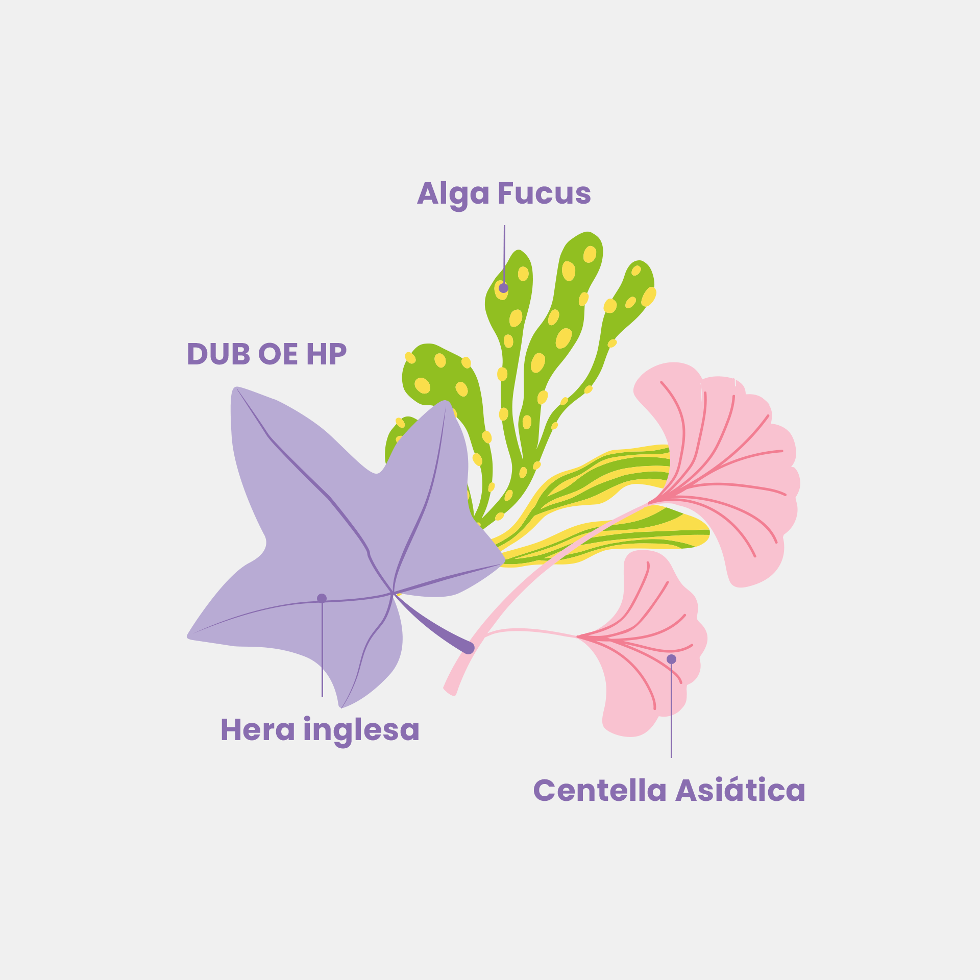 Bumbum Cream Suave pra turma toda - BELEZA BRASILEIRA