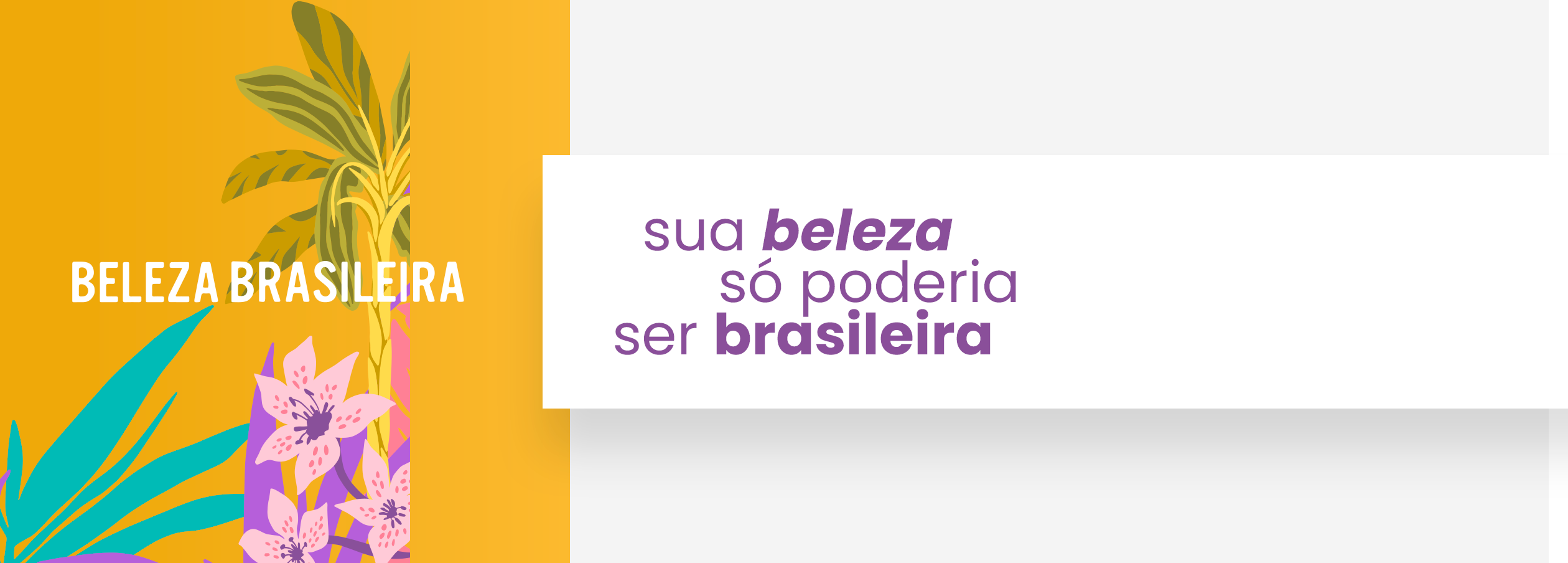Imagem do banner