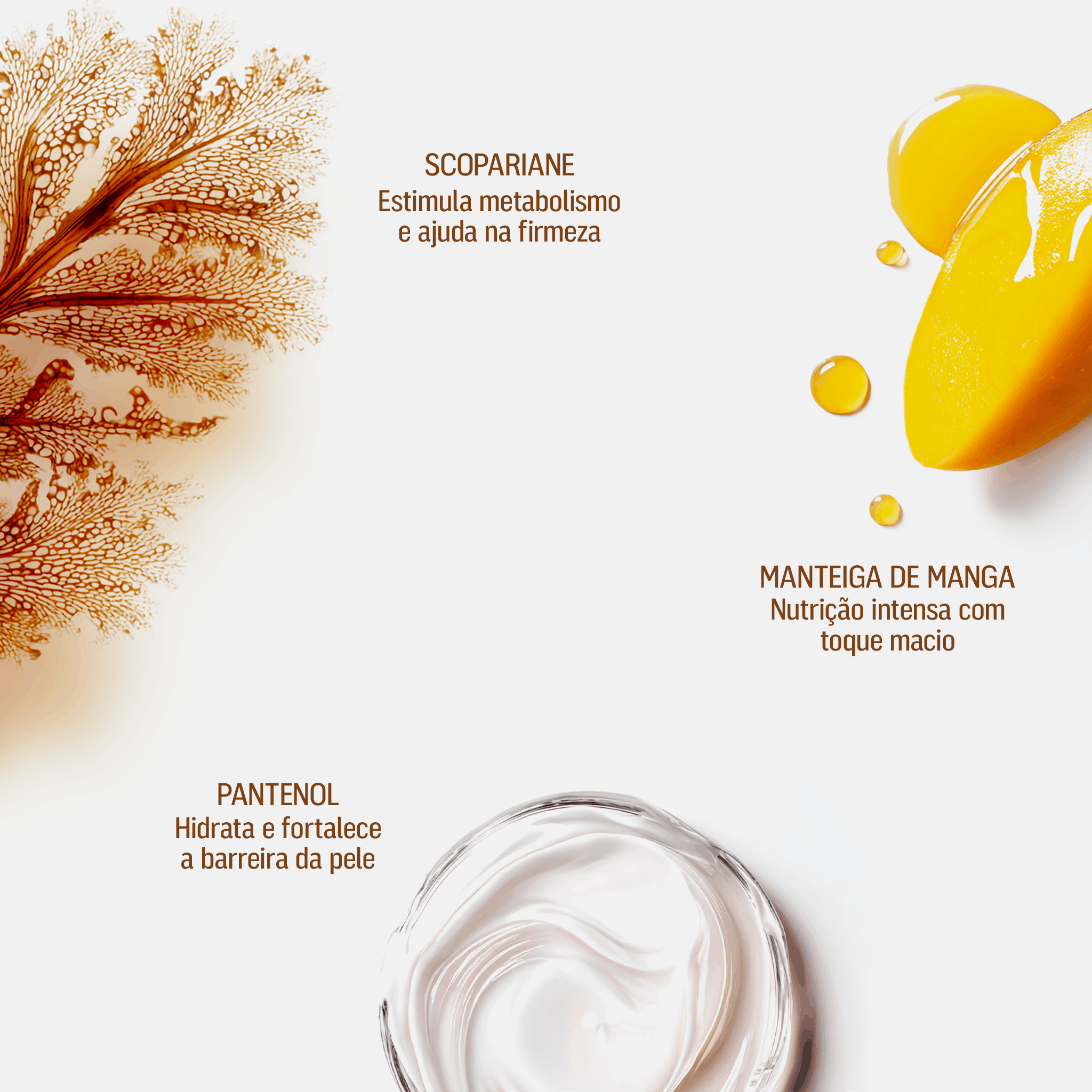 Barriguinha Cream 200g